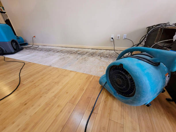 Professional Ceiling Water Damage Repair technician working in Duncans Mills, CA